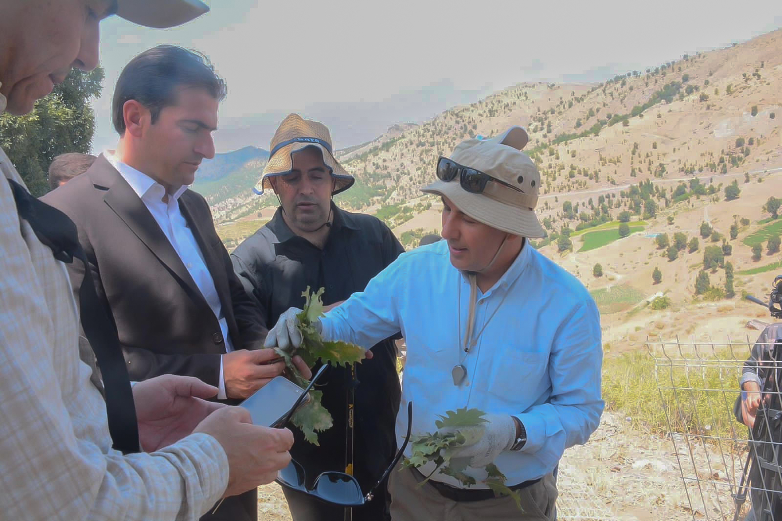 Kurdistan Botanical Foundation (KBF)