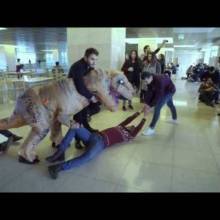 The AUIS Mannequin Challenge