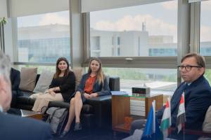 UN Investigative Team at AUIS