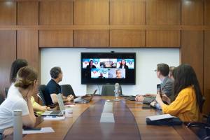 DAAD Grant Online Meeting 