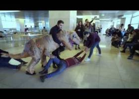 The AUIS Mannequin Challenge